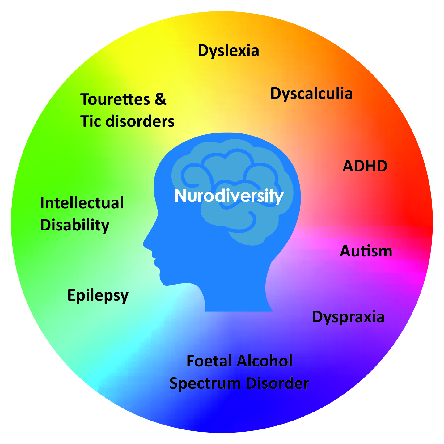 Neuro Diversity and Dyslexia ADT 2020 